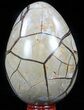 Septarian Dragon Egg Geode - Black Crystals #57346-2